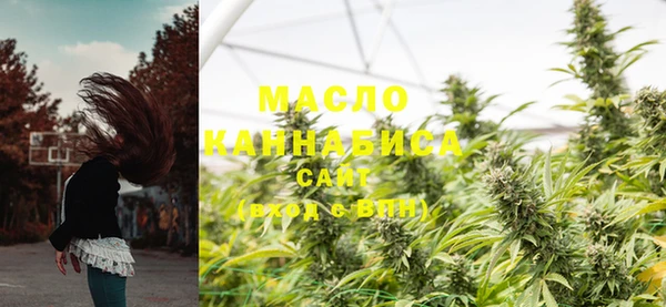 амф Арсеньев