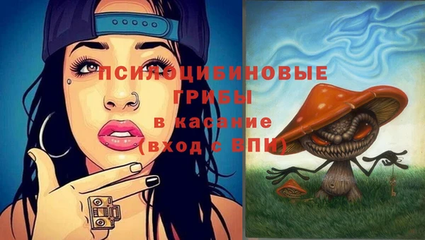 а пвп мука Армянск