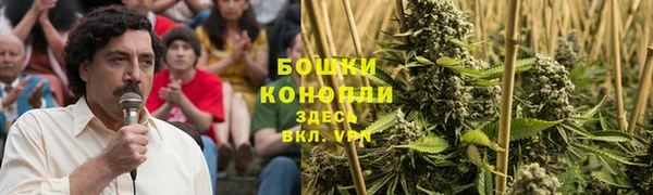 амф Арсеньев